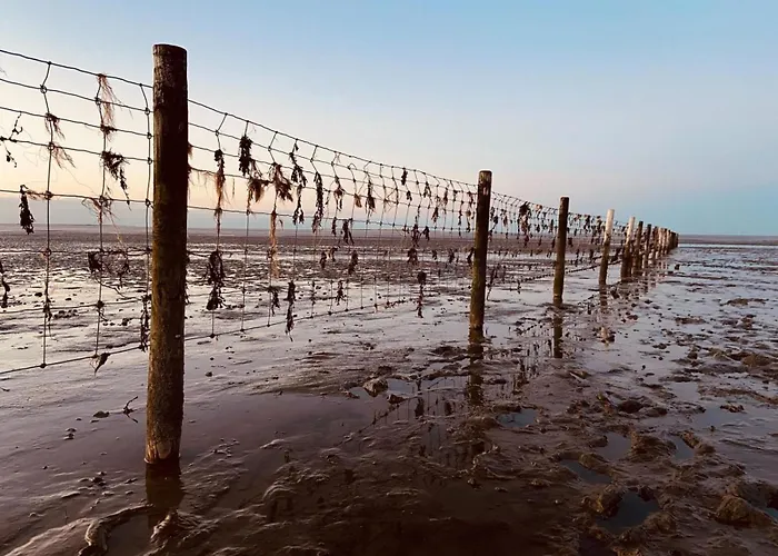 Ferien Im Wangerland - Haus Wiesenweg - 2 1og Appartamento
